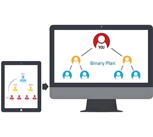 binary mlm plan